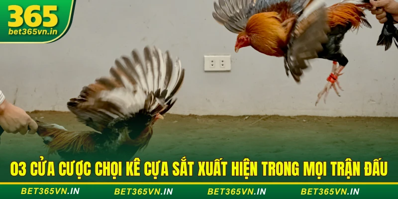 3 Thời Điểm Vàng Để "Lật Kèo" Trong Một Trận Đá Gà Cựa Sắt 4 03 cửa cược chọi kê cựa sắt xuất hiện trong mọi trận đấu