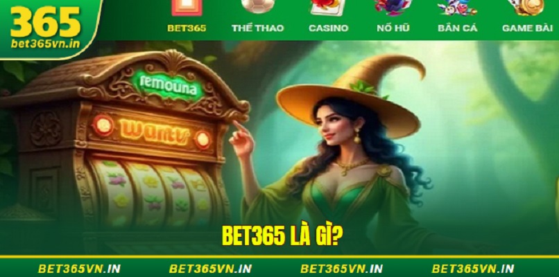 Bet365 là gì? Về Bet365
