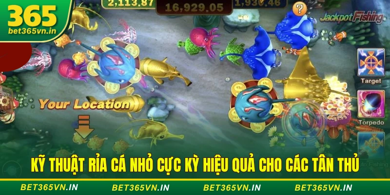 Kỹ thuật rỉa cá nhỏ hiệu quả - Dễ ăn tiền tại BET365 2 Kỹ thuật rỉa cá nhỏ hiệu quả