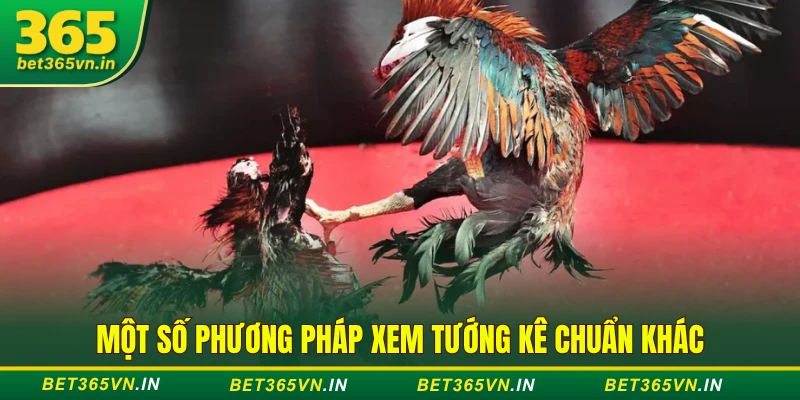 Xem Tướng Gà Đá - Nhìn Mạng, Tông Dòng, Dáng Đi Siêu Chuẩn 4 Một số phương pháp xem tướng kê chuẩn khác